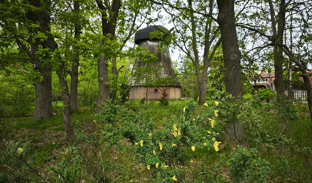 An der Windmühle in Abbensen starten wir zum Jürsebach. | Foto: Shima Mahi