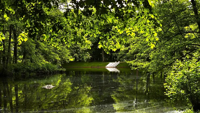 Auch die Treppe lädt zum Sitzen mit Blick aufs Wasser ein. Vorne links brütet ein Blässhuhn mitten im Wasser.  | Foto: Shima Mahi