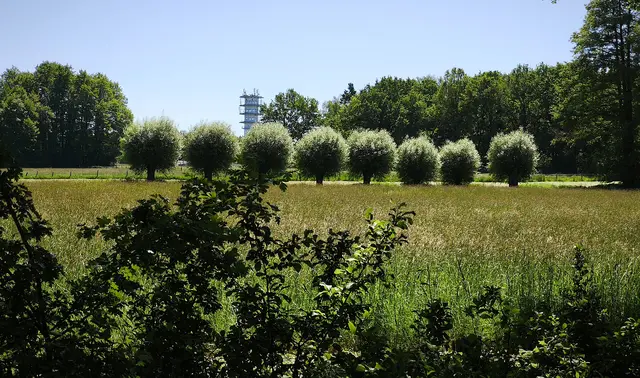 Hier in der Nähe von Mellendorf ist irgendwo die Jürsequelle.  | Foto: Shima Mahi