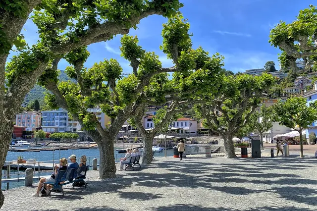 Die malerische Uferpromenade in Locarno | Foto: copyright Margot Klütsch