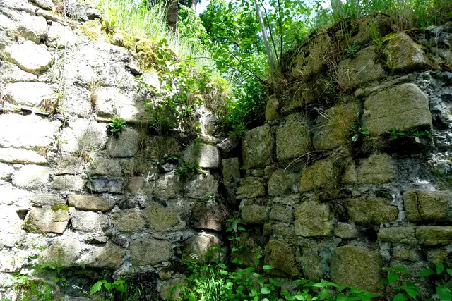 Ruine Heinrichsburg