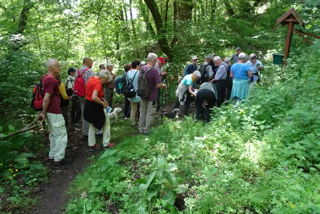 an der Infotafel der Burgruine Heinrichsburg