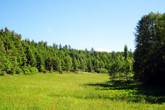 im Teufelsbachtal
