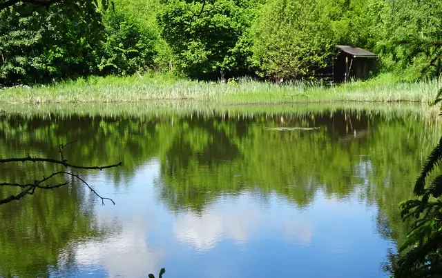 Teufelsbachteich