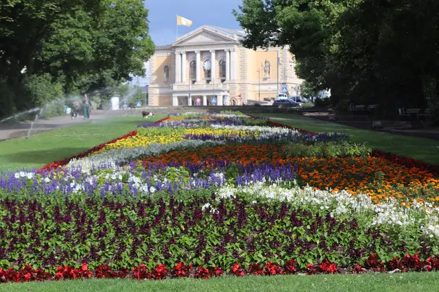 auch Hunde mögen köstliches Nass
Blick zum Opernhaus