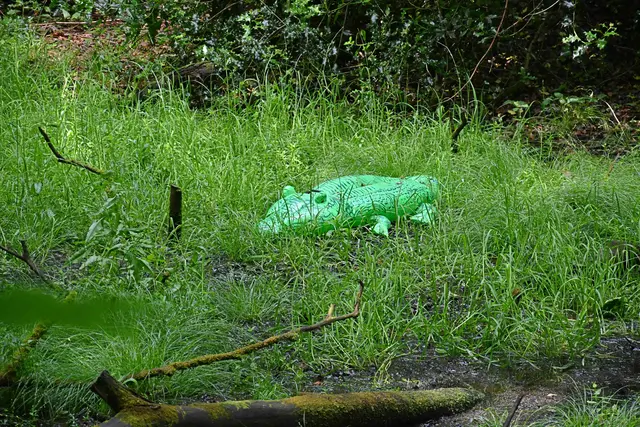 im Sumpf lauern Krokodile