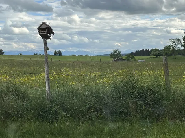 Blick vom Cafe Löwenzahn in Reichling in die herrliche Landschaft.