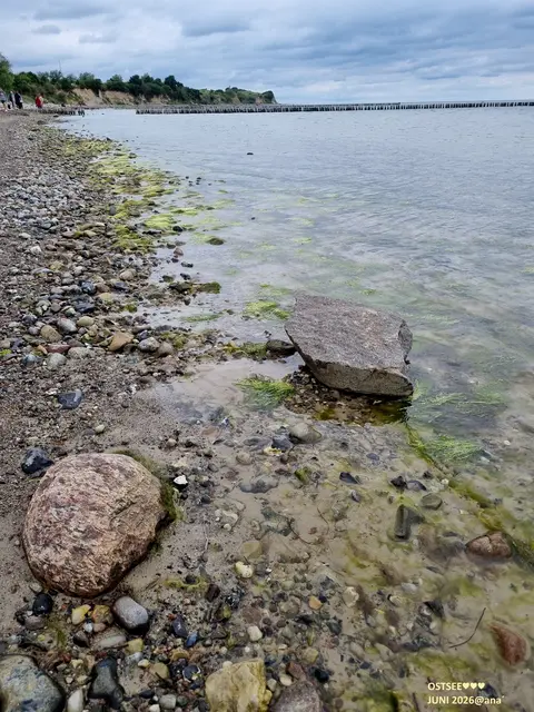 stone