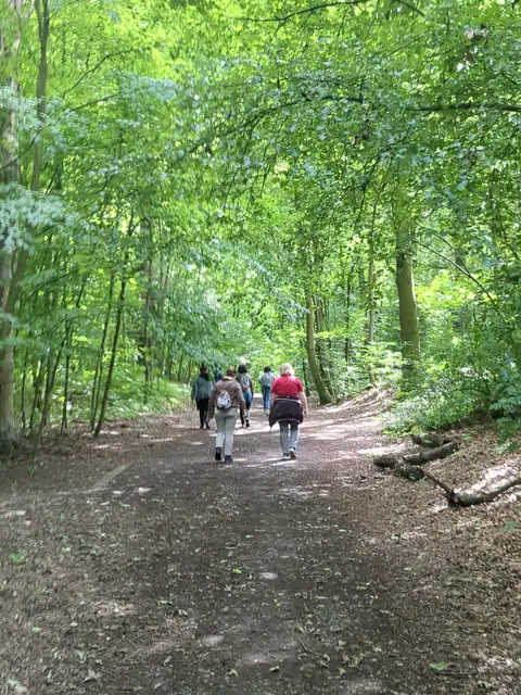 Frauenspaziergang im Duisburg-Mülheimer Wald | Foto: Astrid Günther