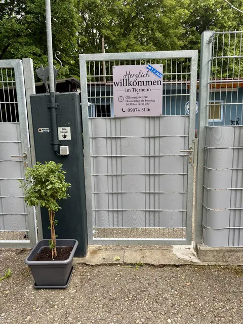 Foto: Tierschutzverein für den Landkreis Dillingen e. V.
