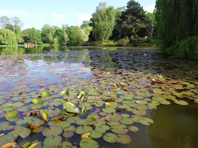 Viel Grün und schöne Natur hat der Maschpark zu bieten. Er bildet den Übergang zum Maschsee.  | Foto: Kurt Wolter