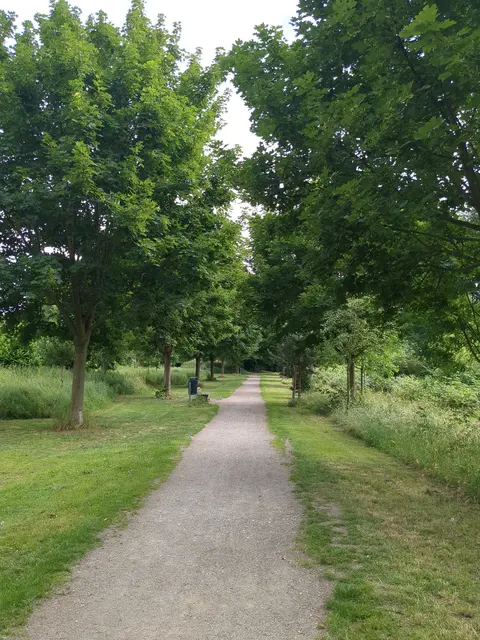 Ein grüner Weg. Hier ist es auch bei großer Hitze relativ angenehm. | Foto: Astrid Günther