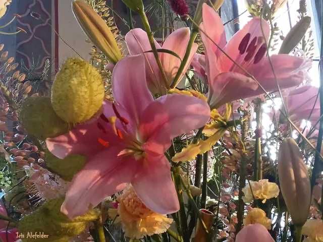 Foto: Iris Alefelder