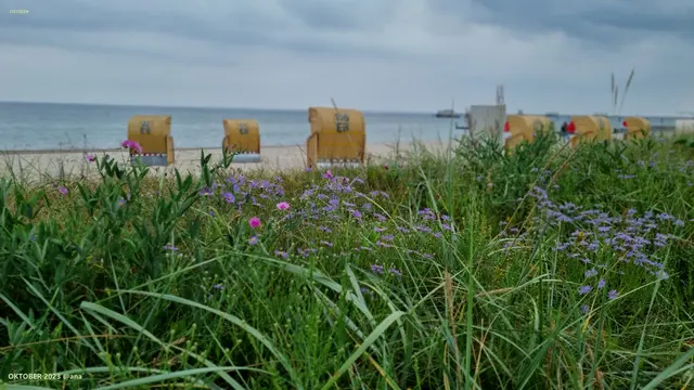 OSTSEE
bei DAHME 
im OKTOBER 2023♥♥♥

2023@AnastasiA