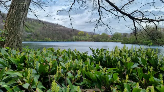 SEILERSEE im SAUERLAND♥
... bei Iserlohn...

2024@AnastasiA