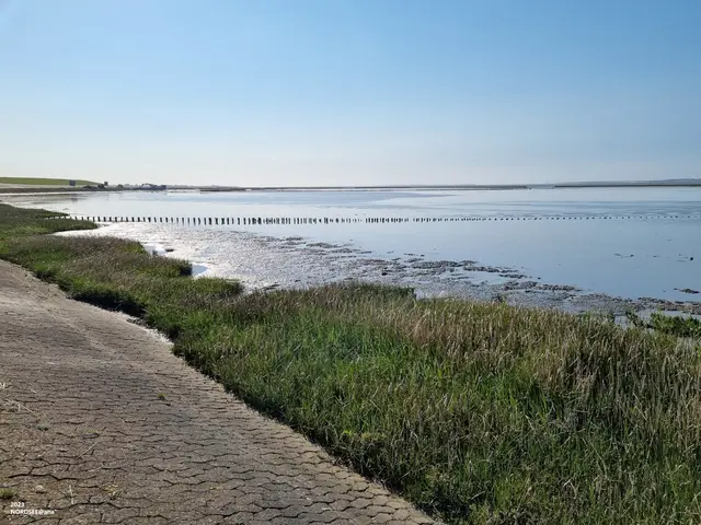 JUNI 2023
NORDSEE♥ bei Bensersiel....