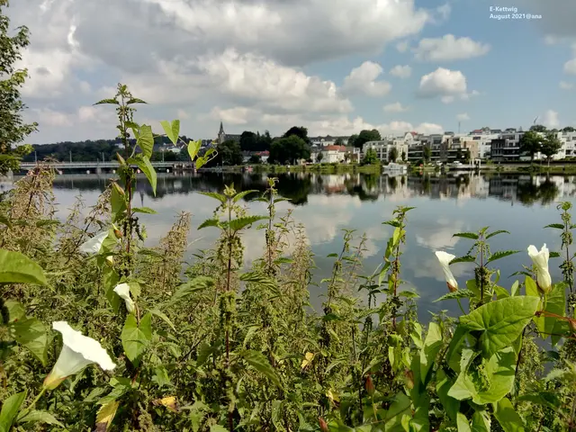 AUGUST 2021
SONNIG in ESSEN-K E T T W I G 
♥♥♥