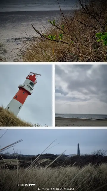 und noch einmal BORKUM 2025♥