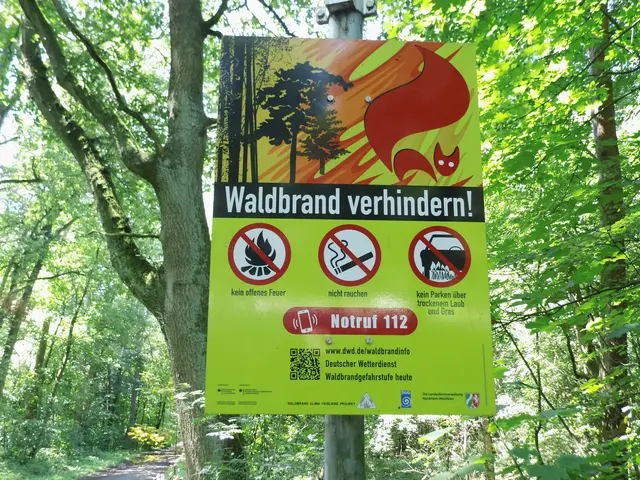 Schild Verhaltensregeln: Waldbrand verhindern.
Standort: Waldgebiet RWE-Straße, Wesel Obrighoven | Foto: Siegmund Walter, 21.06.2026