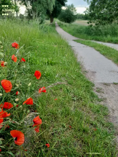 MOHN ♥♥♥