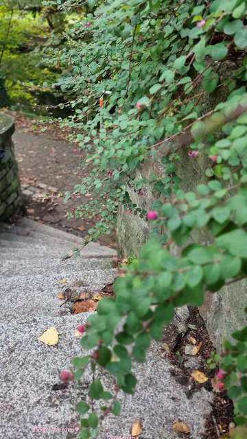 an einer TREPPE