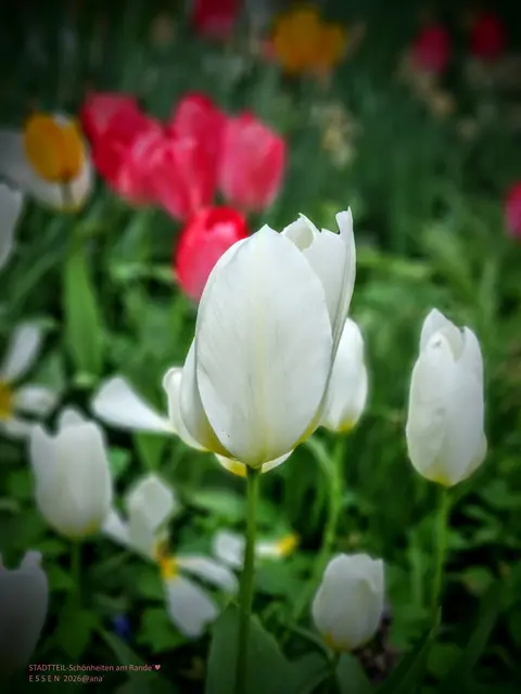 OSTERN 2026