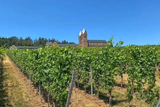 Rüdesheim, Abtei St. Hildegard | Foto: copyright Margot Klütsch