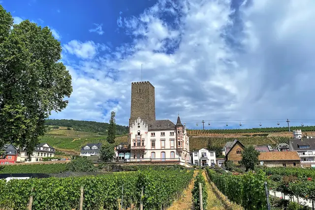Rüdesheim, Weingut Carl Jung | Foto: copyright Margot Klütsch