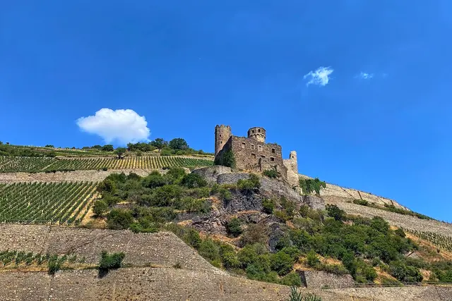 Burgruine Ehrenfels | Foto: copyright Margot Klütsch