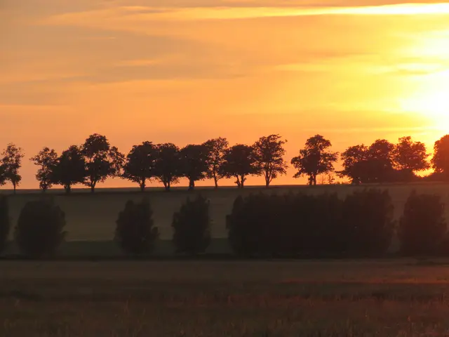 einmal ein sonniger Tag | Foto: umbehaue