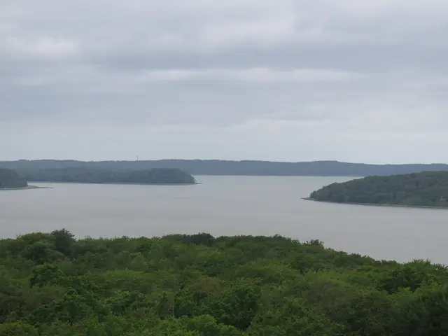 Aussicht vom Baumwipfelpfad | Foto: umbehaue