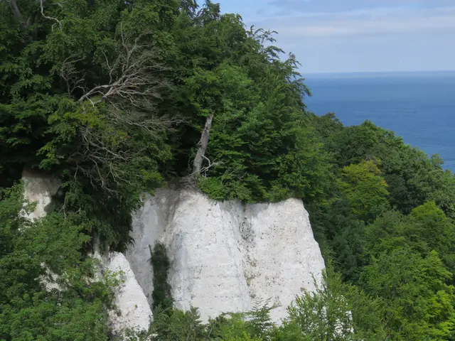 Kreidefelsen