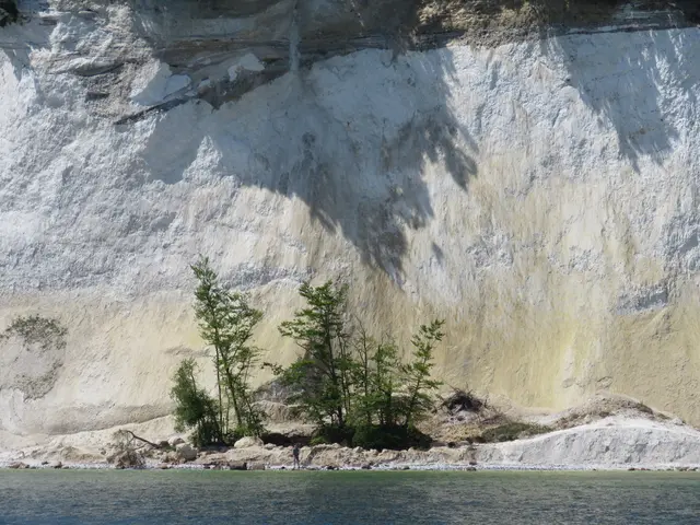 Abbruch Kreidefelsen die Bäume wachsen weiter | Foto: Umbehaue