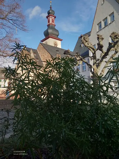 Rüdesheim