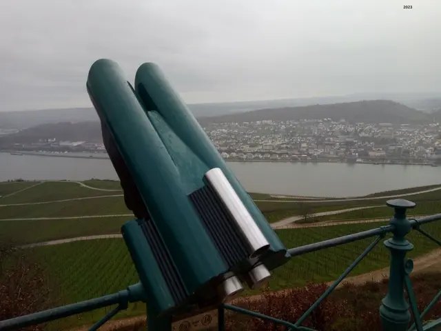 2023
Fernblick Rüdesheim