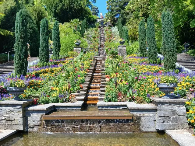 Die Bilder vermitteln dem Betrachter einen Eindruck von der Schönheit und der Vielfalt der Vegetation auf der Bodensee-Insel Mainau.                                 | Foto: Peter Heider