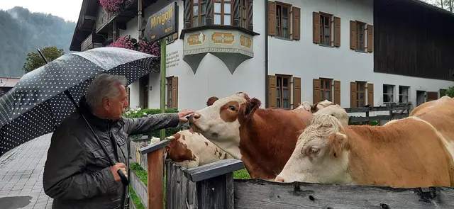 Vielleicht sollte man die Kuh gelegentlich auch einmal streicheln, statt immer nur zu überlegen, wie viel sie noch geben kann...
