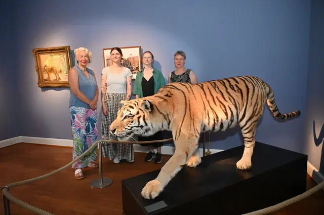 Gruppenbild mit Tiger: Direktorin Katja Lembke (l.) mit ihren Mitarbeiterinnen in der neuen Ausstellung "Wechselwelten".
