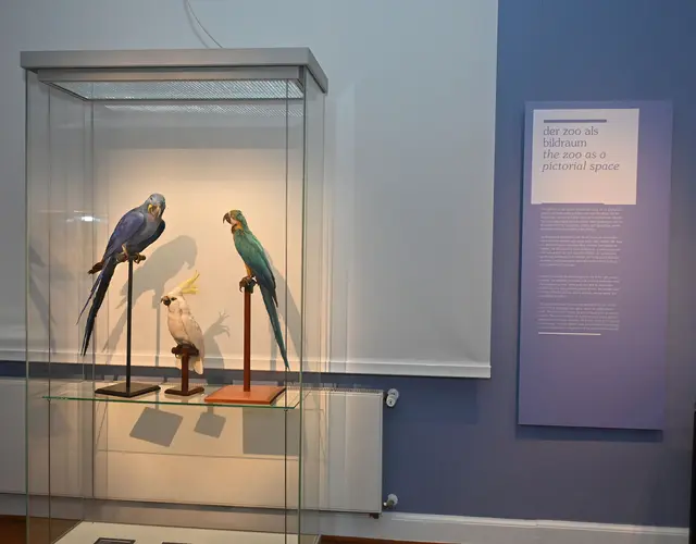 Blick in die Ausstellung