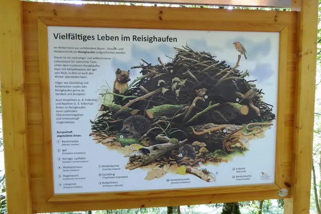 Naturinformation am Panaoramapfad, hier "Vielfältiges Leben im Reisighaufen".