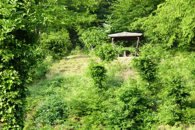 Die Aussichtshütte am Panoramapfad.