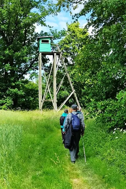 auf dem Weg vom Birnbaumteich zur Erzbahn