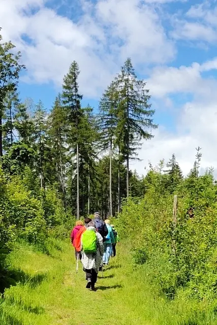 auf dem Neudorfer historischen Bergbaulehrpfad