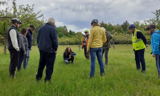 Bild: Matthias Fendt - Meitingen auf der Streuobstwiese