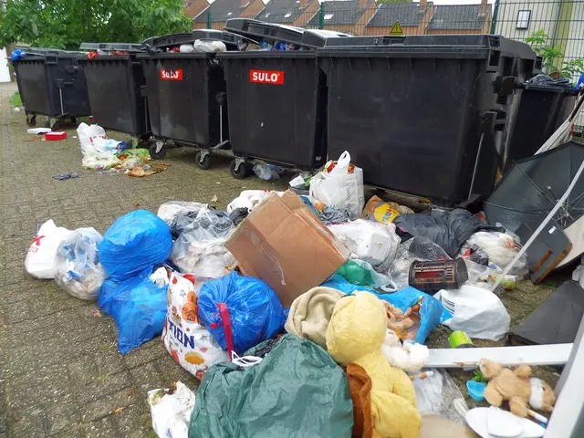Überquellende Mülltonnen mit einer erheblichen Menge wilden Müll neben den Mülltonnen, darunter Plastiksäcke und Kartons, was auf ein akutes Entsorgungsproblem hinweist. Zustände von denen Ratten anlockt werden
.
Standort: Frei zugänglicher Hinterhof Mehrfamilienhaus in Wesel | Foto: Siegmund Walter, 03.06.2026, 10:36 Uhr