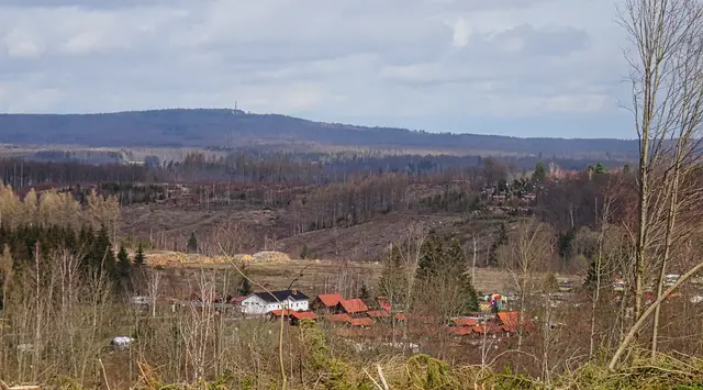 Blick auf den Birnbaumteich