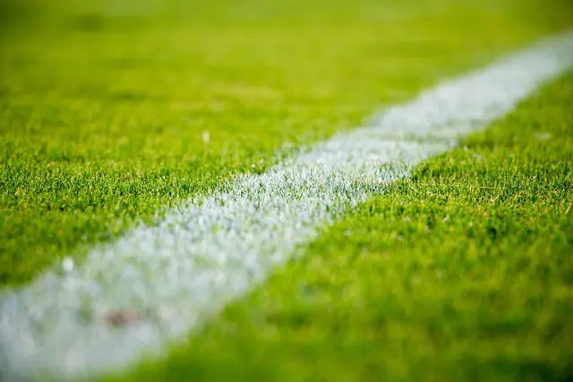 Der österreichische Rekordmeister Rapid Wien könnte sich einen WM Superstar von Kap Verde sichern | Foto: StockSnap/pixabay