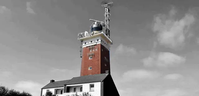 Iris - 1 Punkt - Helgoland