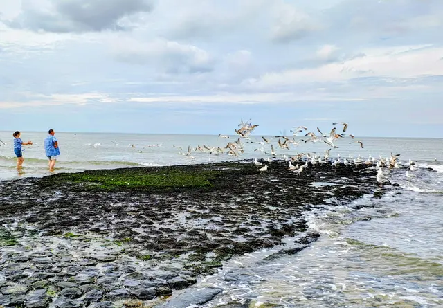 Alle Möwen fliegen hoch ... | Foto: JH