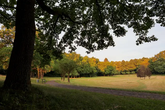 Frühmorgens um 6:00 Uhr im Klinikpark zur Abkühlung am 27.6.2026. Hitzewelle im Juni 2026 mit Spitzentemperaturen jenseits der 40 °C in Bayern. | Foto: Foto: Dr. Dietmar Kuhlmann, Neusäß, 06/2026